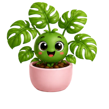 Monstera