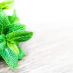 Peppermint.,Fresh,Mint,On,Wooden,Table.,Bunch,Of,Green,Organic