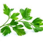 Parsley,Leaf,Isolated,On,White,Background