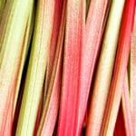 Fresh,And,Organic,Vegetable,Plant,Rhubarb,Chard