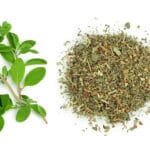 Oregano,Or,Marjoram,Leaves,Fresh,And,Dry,Isolated,On,White