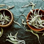 Herbal,Sage,Tea.dry,Sage,Leaf.herbal,Medicine,And,Healing,Plants.