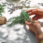 Alternative,Medicine.,Collection,And,Drying,Of,Herbs.,Woman,Holding,In
