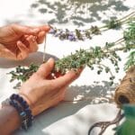 Alternative,Medicine.,Collection,And,Drying,Of,Herbs.,Woman,Holding,In