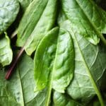 Fresh,Organic,Sorrel,Leaves,Close,Up.,Nature,Texture,Of,Green