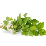 Fresh,Thyme,Twig,Isolated,,Fresh,Marjoram,Leaves,And,Flowers,,Oregano