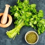 Fresh,And,Dry,Cilantro,Sprigs,,Perfect,For,Adding,A,Burst