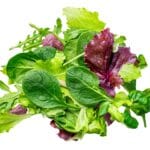 Fresh,Spring,Mix,Leaves,Isolated.,Green,Salad,Leaves,On,White.
