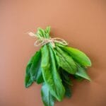 Green,Sorrel,Leaves,For,Healthy,Eating.
