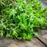 Fresh,Raw,Green,Herb,Marjoram,On,A,Wooden,Rustic,Table