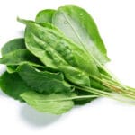 Bundle,Of,Fresh,Sorrel,(rumex,Acetosa),Pot,Herb.,Clipping,Paths,