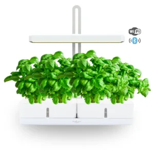 SIMPLY PRO product photo