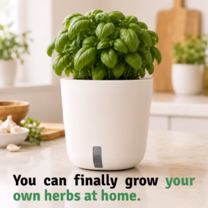 Smart Garden Aurelia Classic