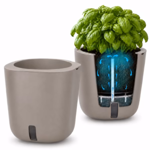 Smart Garden Aurelia Classic Tapenade