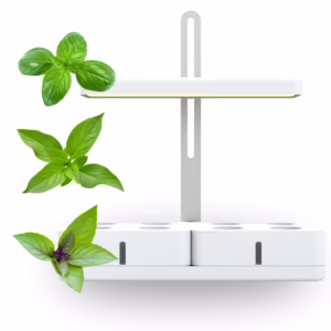 Simply Classic trio basil bundle