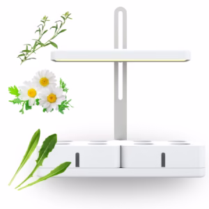 Simply Classic imunitet bundle