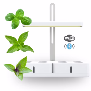 Simply Pro trio basil bundle