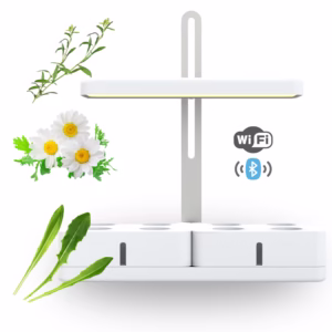 Simply Pro imunitet bundle