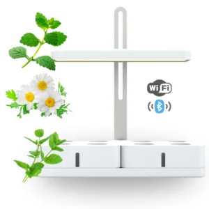 Simply Pro - Trio Tea Bundle