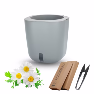 Aurelia Classic Konfigurator