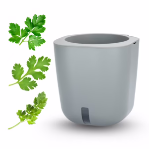 Bundle AURELIA - DETOX