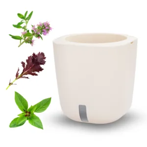 Bundle AURELIA - IMUNITET