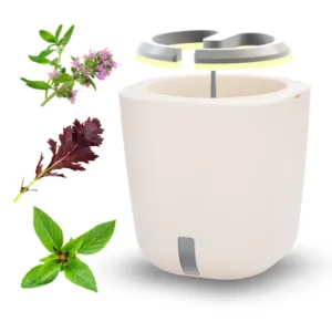 Bundle AURELIA PRO - IMUNITET