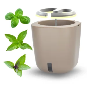 Bundle AURELIA PRO - TRIO BASIL