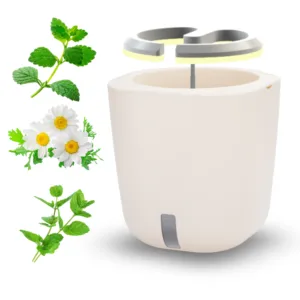 Bundle AURELIA PRO - TRIO TEA