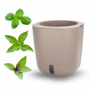 Bundle AURELIA - TRIO BASIL