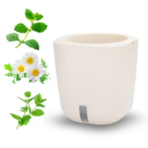 Bundle AURELIA - TRIO TEA