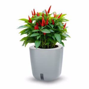 Aurelia pametna tegla Cement Grey slika proizvoda