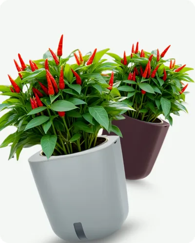 Smart Garden pametni vrtovi najbolja rješenja za uzgoj biljaka