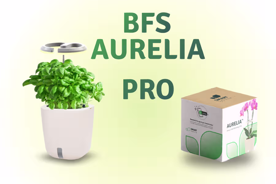 AURELIA PRO BFS