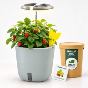 AURELIA Pro paket – Mini jagoda