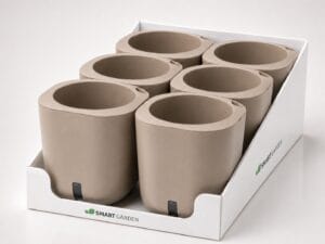 Aurelia Classic 6-pack