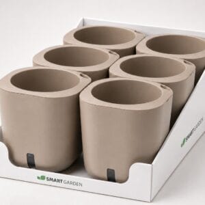 Aurelia Classic 6-pack