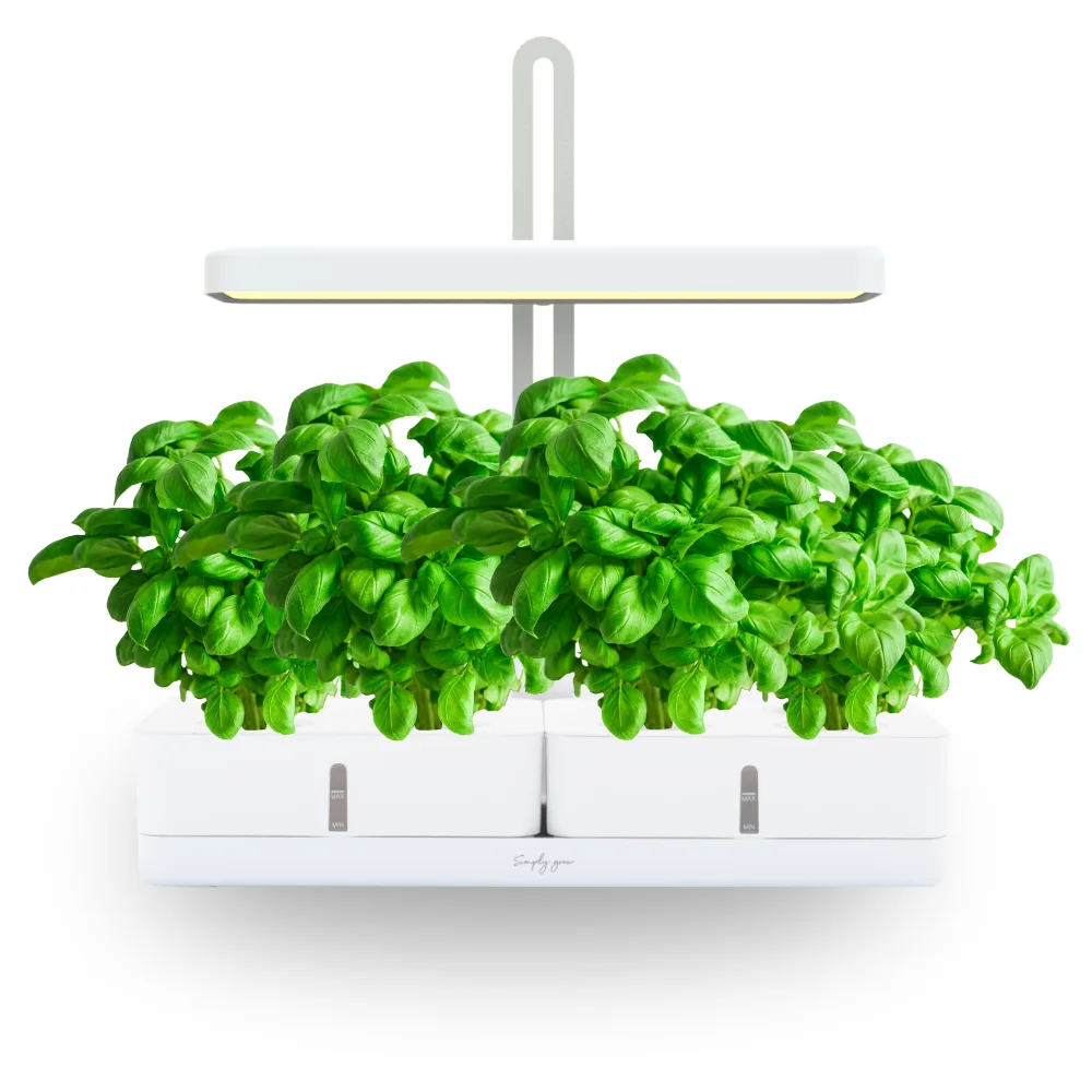 SIMPLY product photo